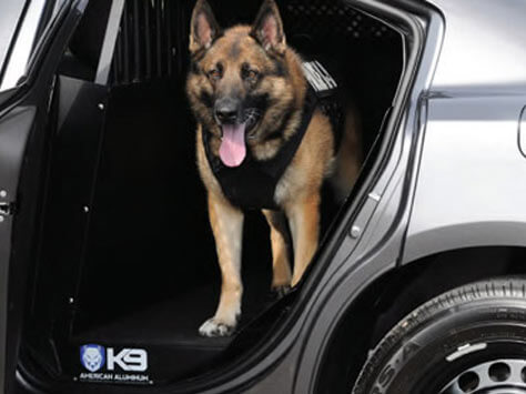 K9 Solutions